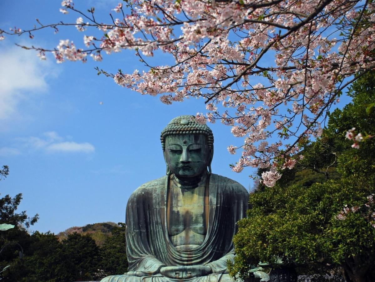 Kamakura Cocon Ξενοδοχείο Εξωτερικό φωτογραφία
