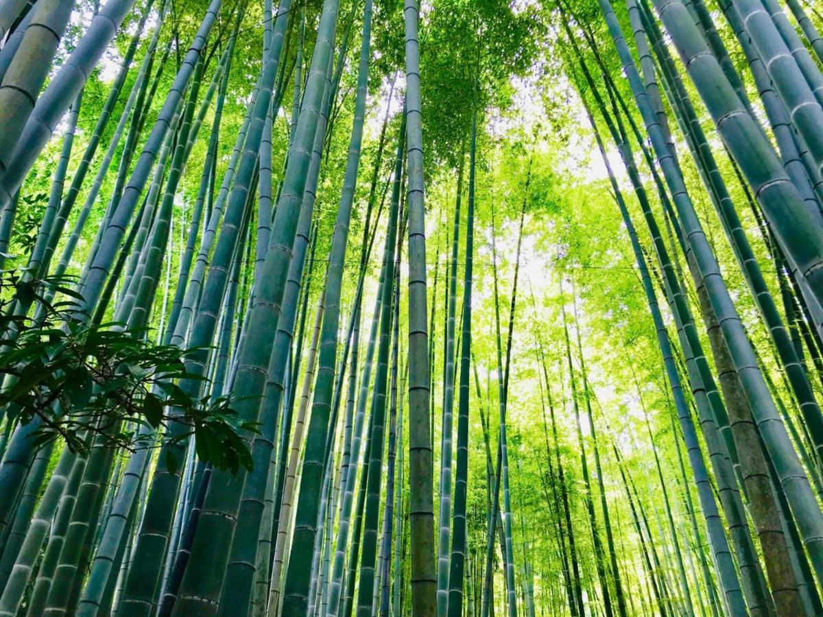 Kamakura Cocon Ξενοδοχείο Εξωτερικό φωτογραφία